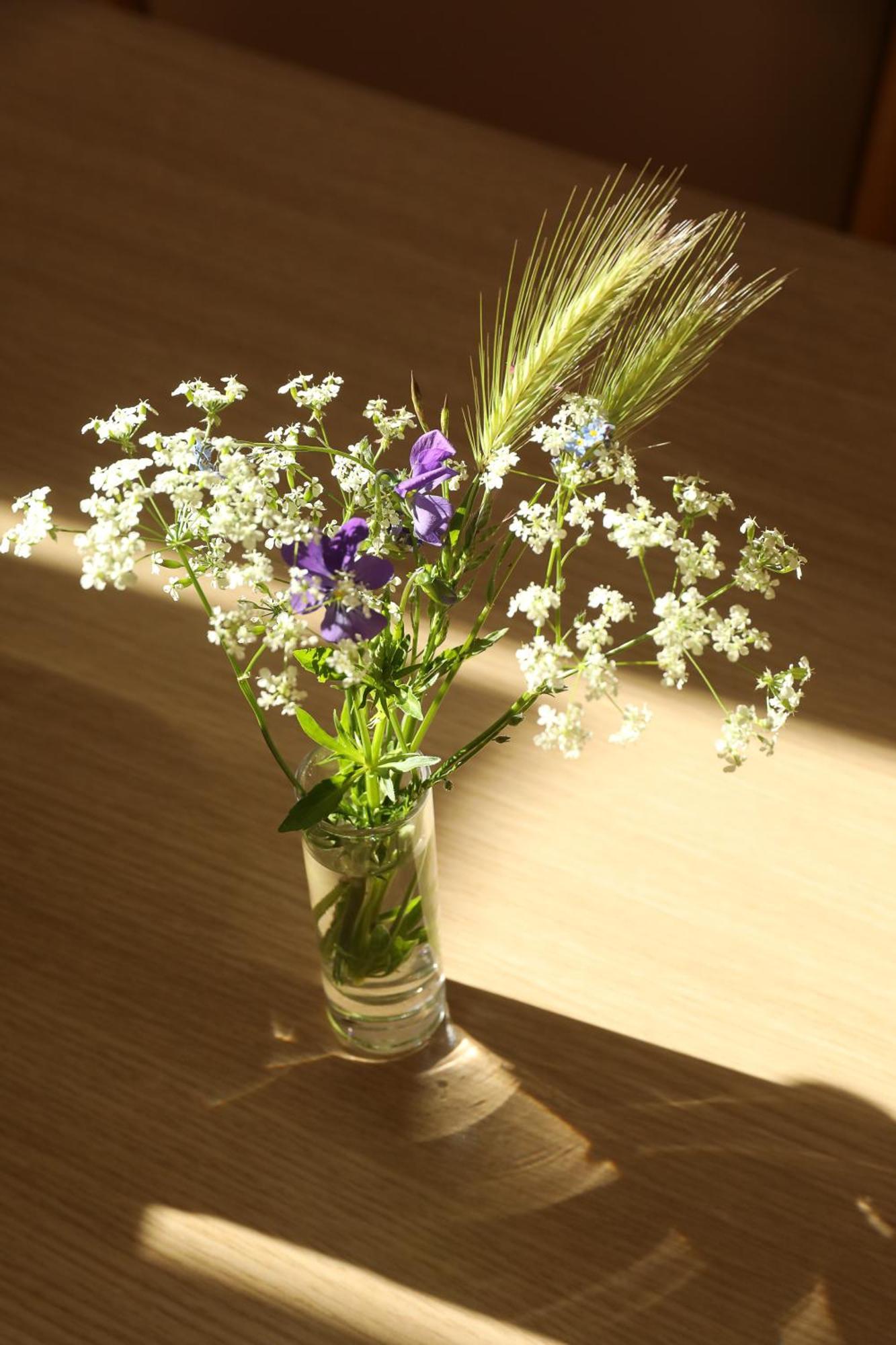 Logis Hotel Spa Restaurant Le Provence 라나르스 외부 사진