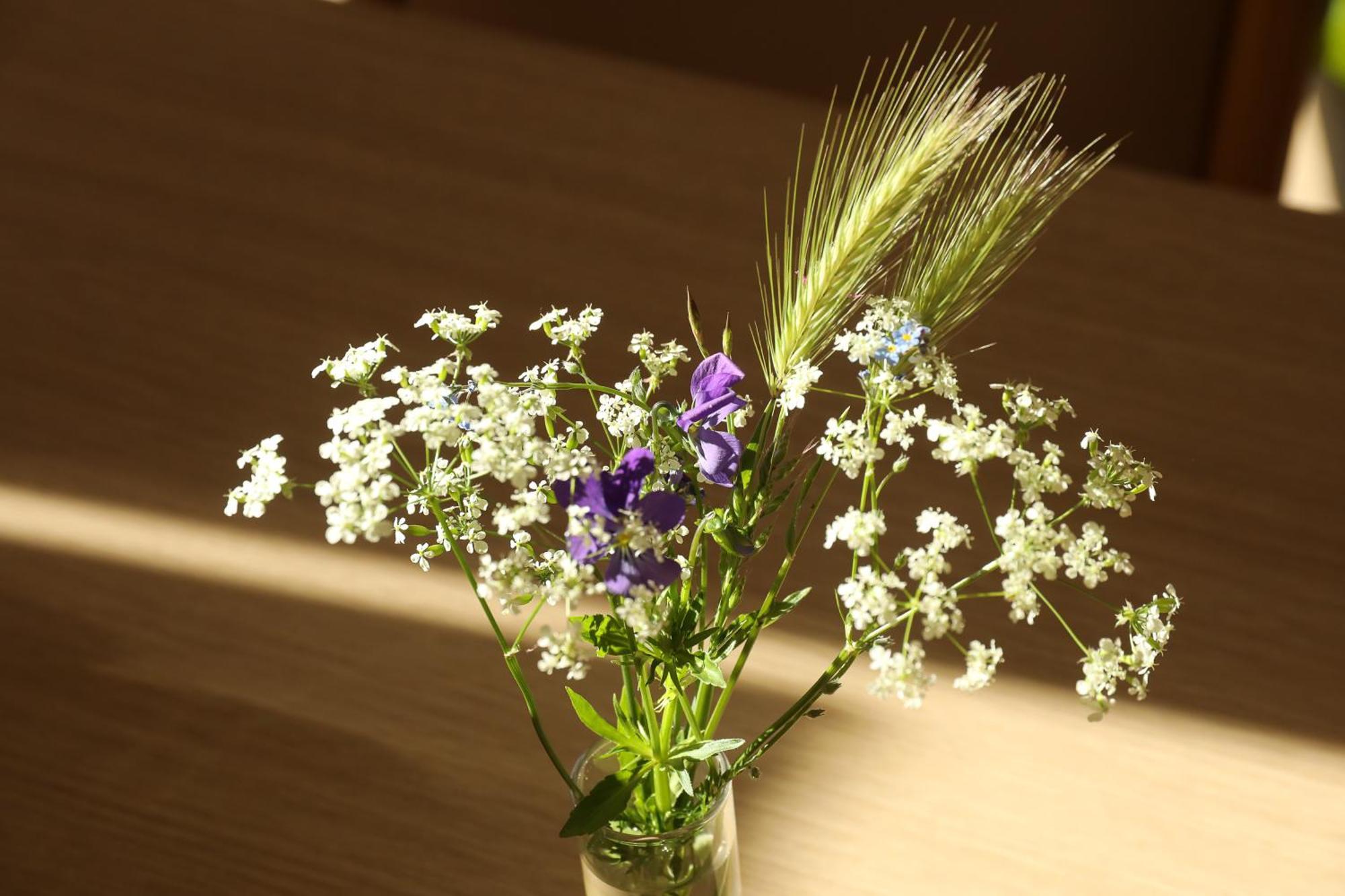 Logis Hotel Spa Restaurant Le Provence 라나르스 외부 사진